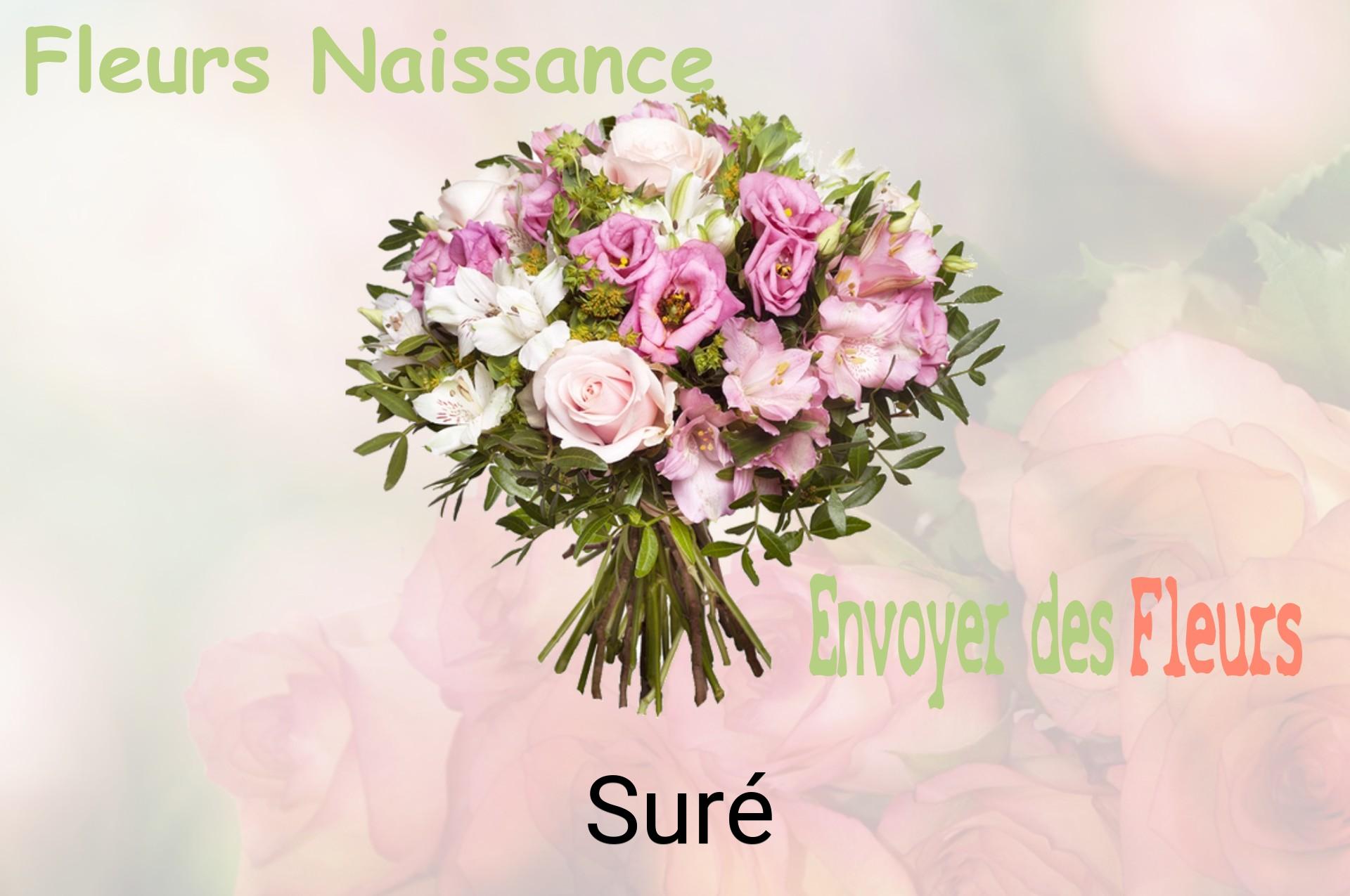 Bouquet de fleurs de naissance livré à Suré